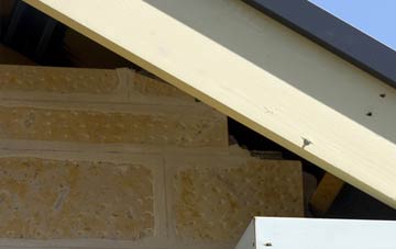 soffit repair Throckmorton
