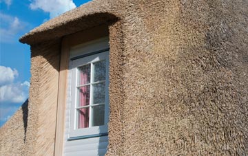 Throckmorton thatch roof disadvantages