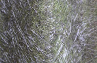 Throckmorton fibreglass roof work